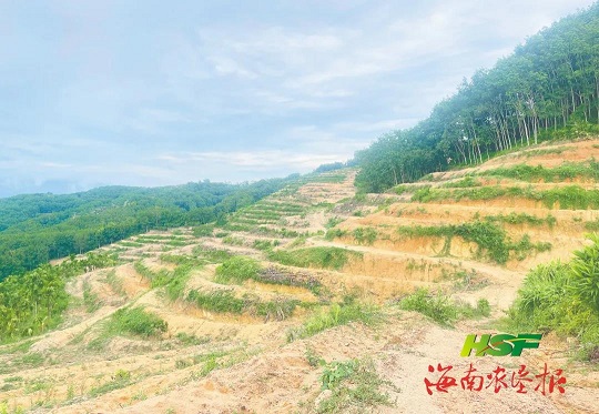 九州酷游(酷游·ku游)官方网站