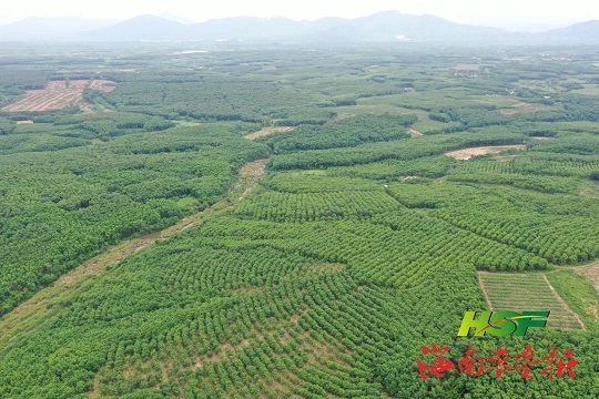 九州酷游(酷游·ku游)官方网站