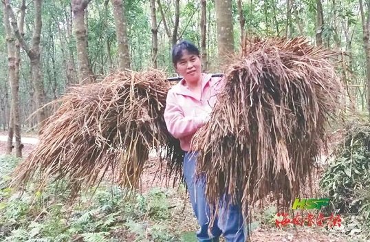 九州酷游(酷游·ku游)官方网站