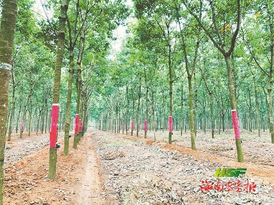 九州酷游(酷游·ku游)官方网站