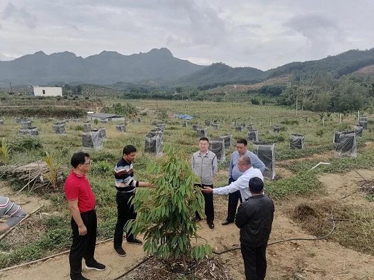 九州酷游(酷游·ku游)官方网站