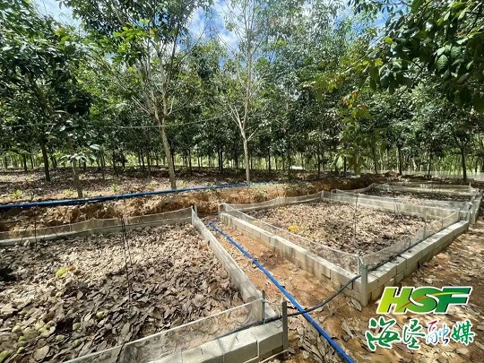 九州酷游(酷游·ku游)官方网站