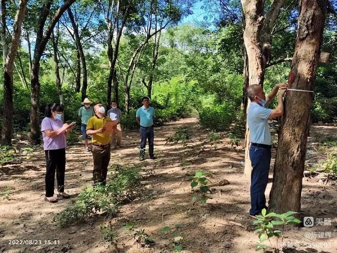 54 九州酷游(酷游·ku游)官方网站
