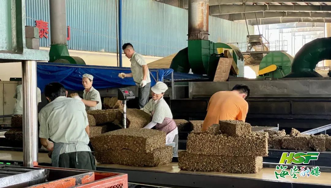 九州酷游(酷游·ku游)官方网站